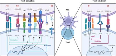 Clinical application of immune repertoire sequencing in solid organ transplant